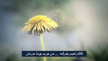 الشيخ خالد الراشد # رسالة الى كل عاق لوالديه # هدية لكل من له ام # مؤثر