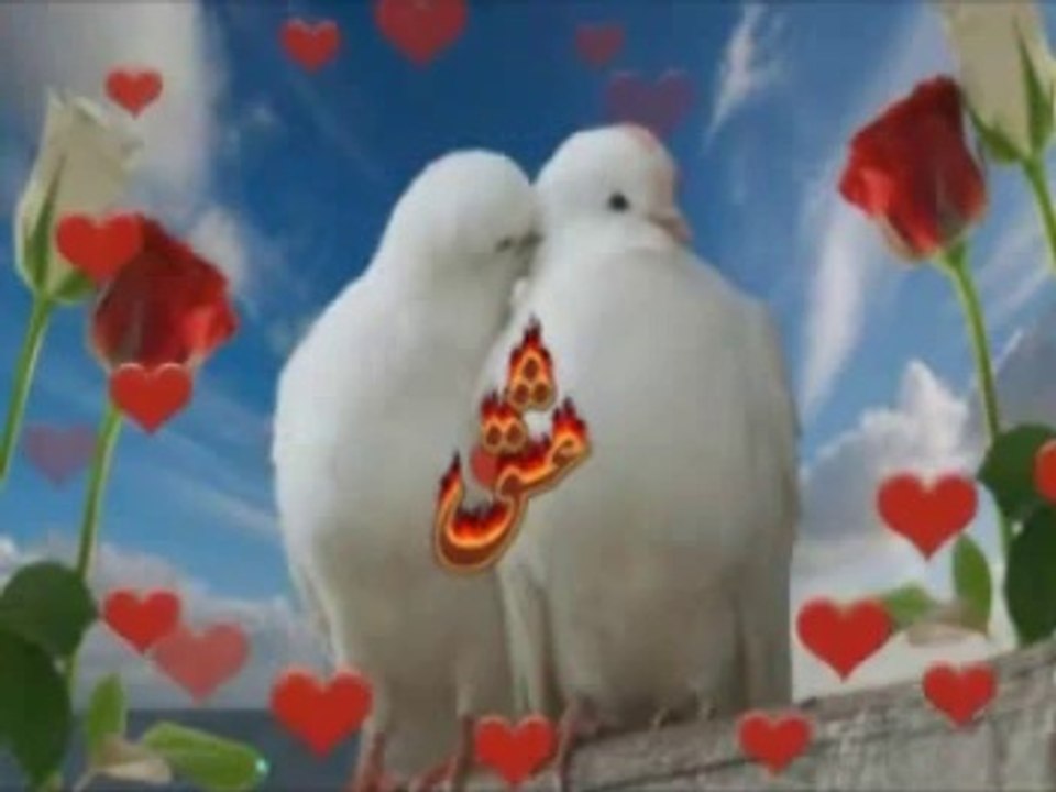 Allah'ın Emrine Mutiyim Dersen