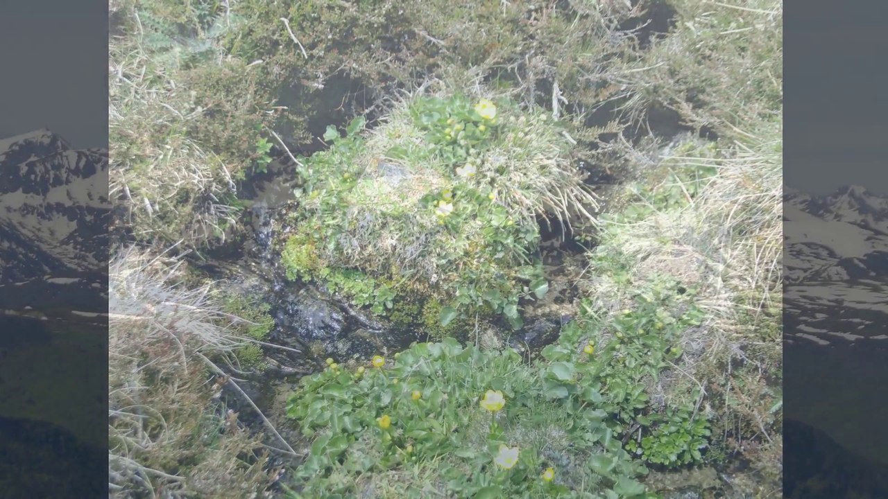 Cabane du Pas de Gai