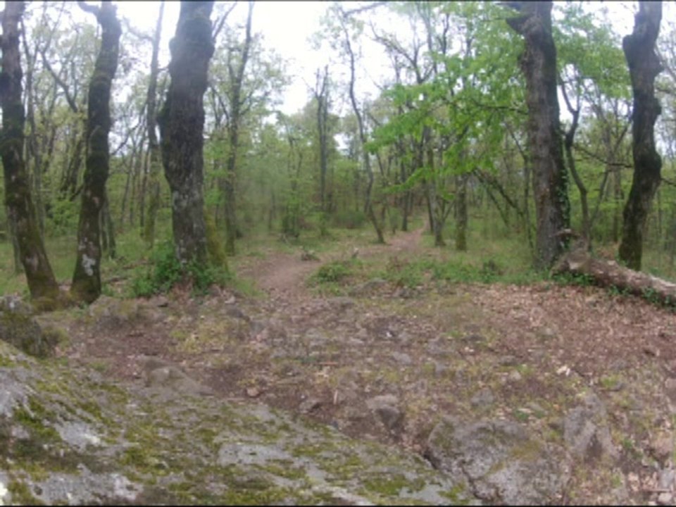 VTT Electrique et Trottinette de Descente