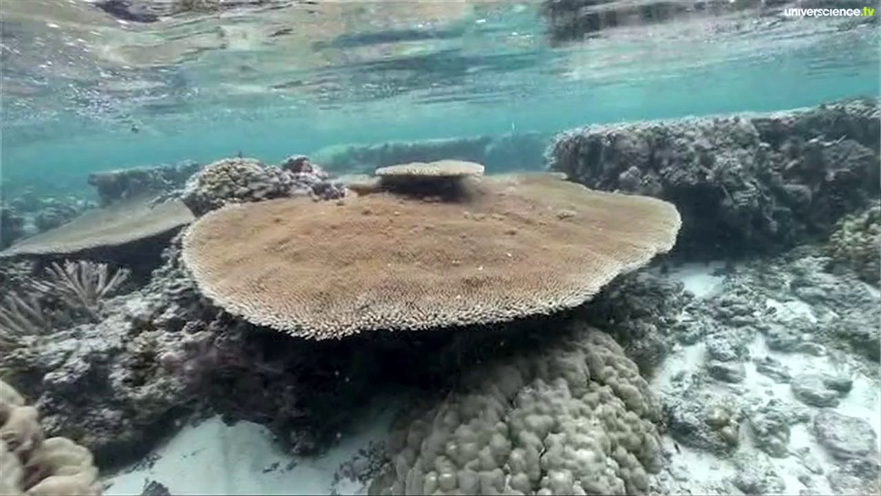 Nappes d'eau souterraines : bonne nouvelle !