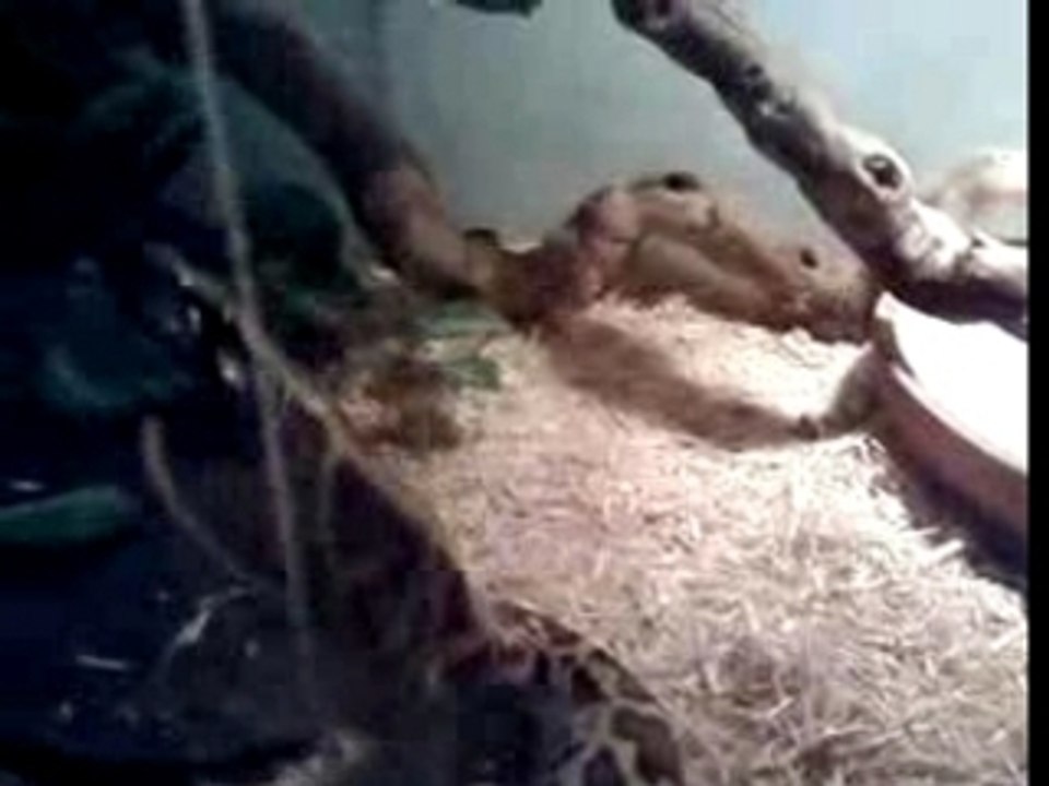 la fin d'1 bon repas!!!