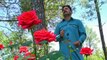 Ahsan Niazi Song  Album 1 Nika Nika  (03446930005)