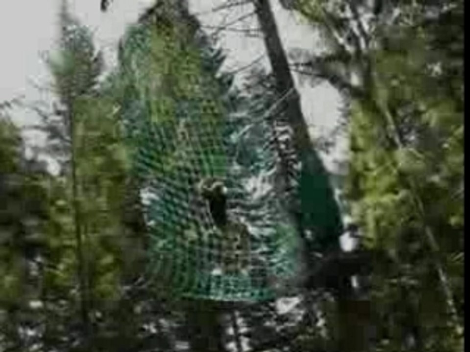 Le saut de Tarzan