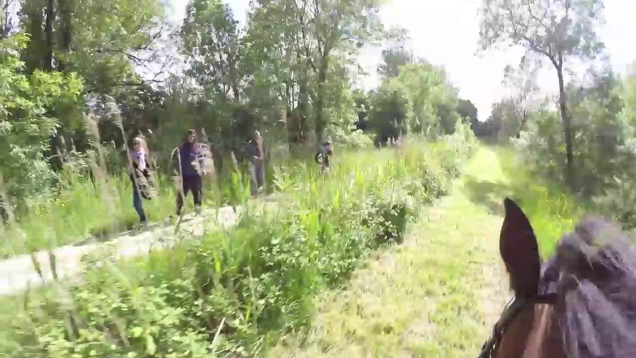 tiercé Derby
