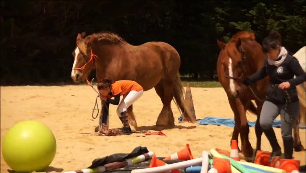 rose chez equilogic farm