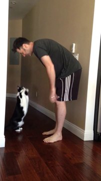 So cute kitten asking for hugs : Best Kitty Hug Ever!