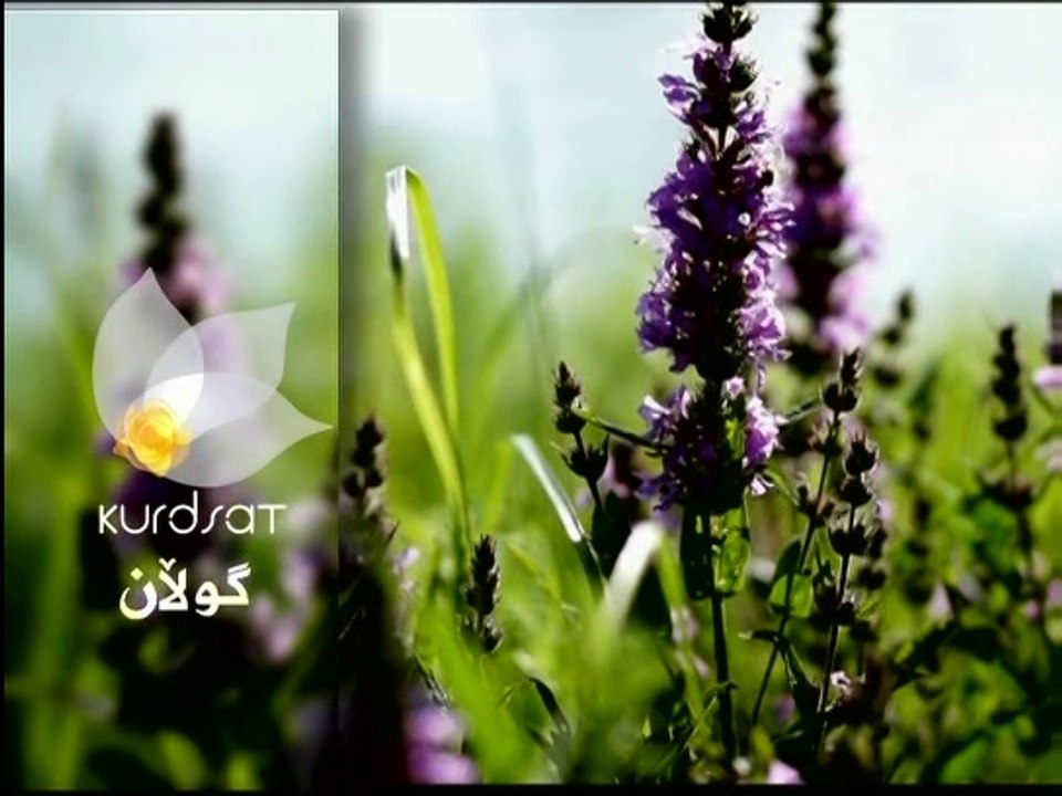 درامای سۆنگ یو ئەڵقەی 6