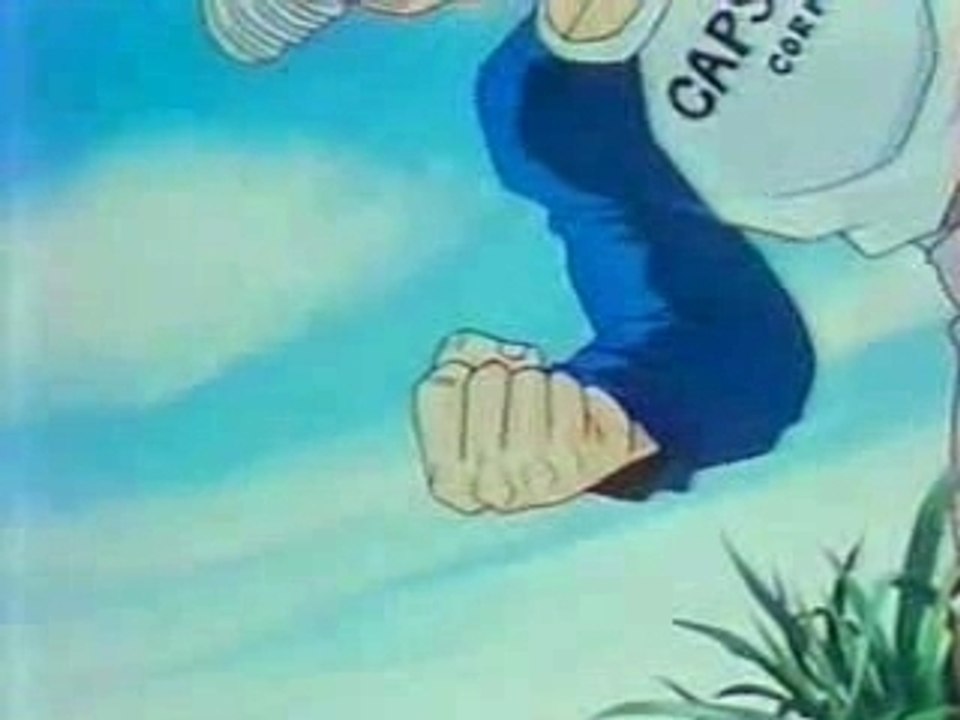 l'histoire de trunks
