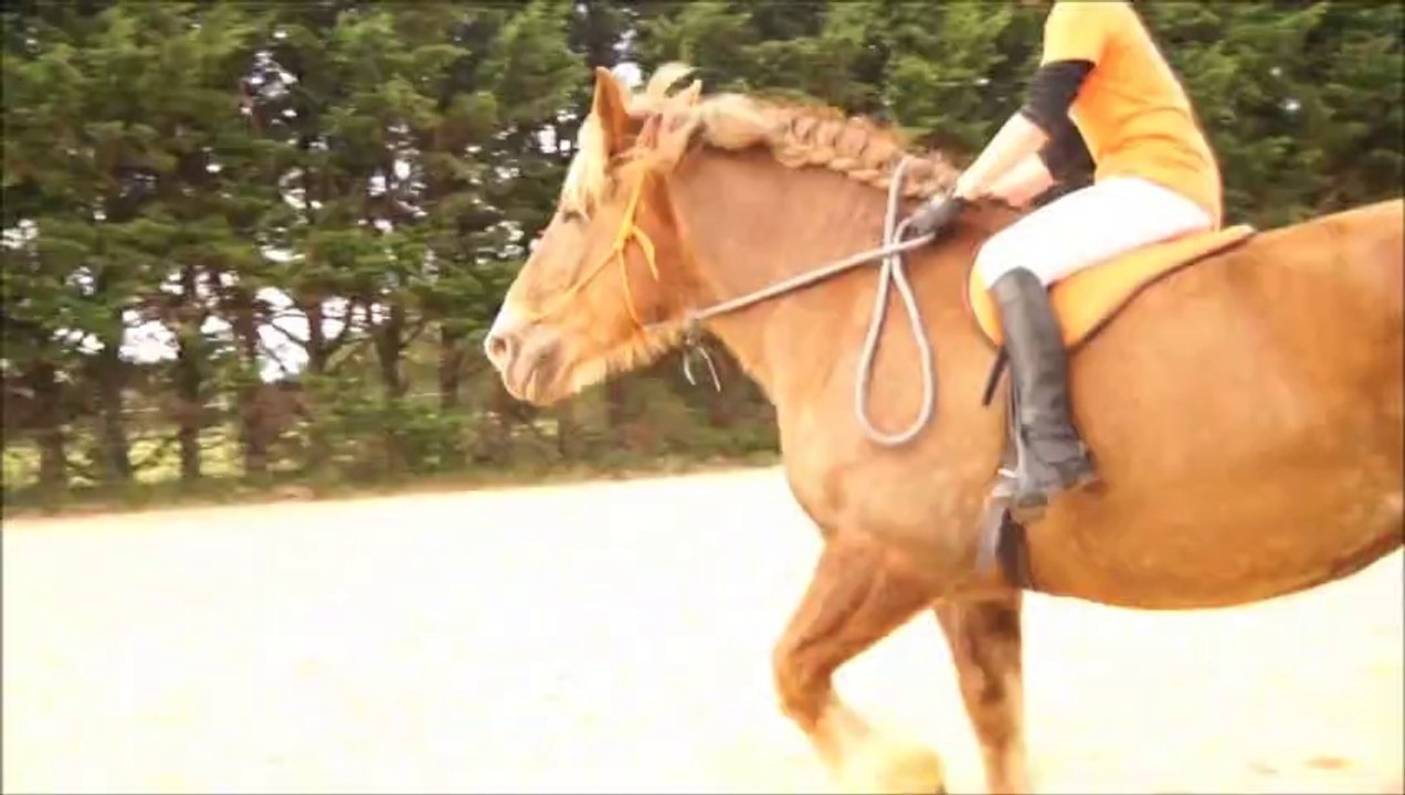 rose chez equilogic 2