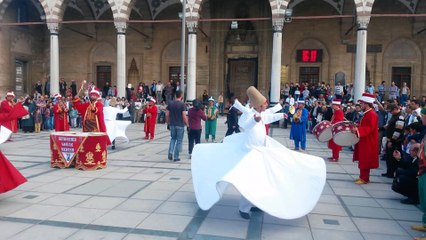 11 Mayıs Mevlana Programı