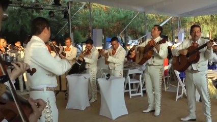 La musique de Super Mario en mode Mariachi : Super Mariachi Bros