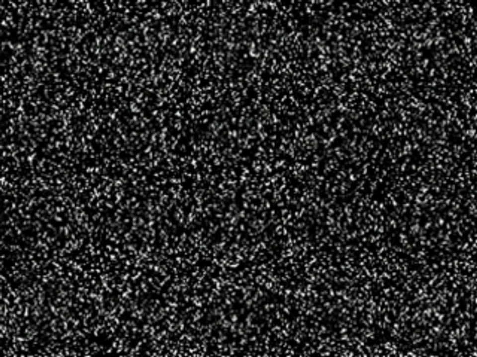 Tapis Rouge 1 10 COM