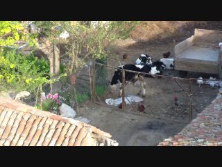 SÜLE MAHALLESİ KUŞBAKIŞI - 3.BÖLÜM