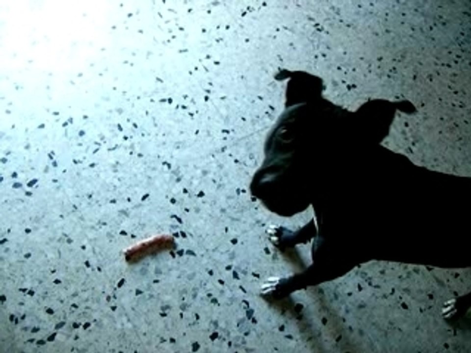 Akira VS La saucisse