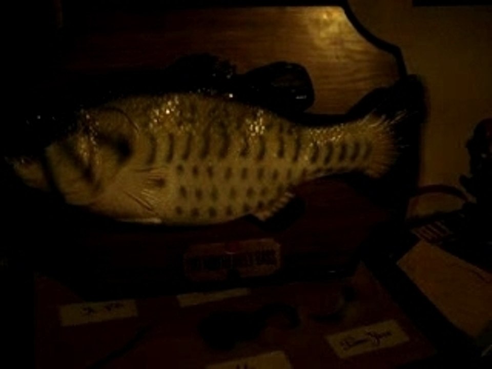 Poisson Chanteur