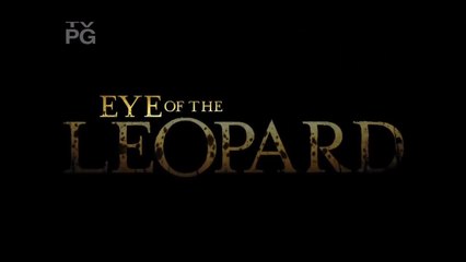 O Olhar do Leopardo [NatGeo HD] PARTE 2