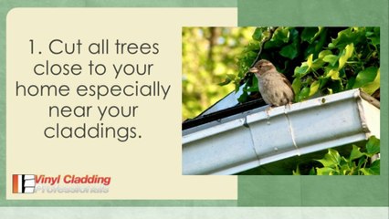Proper Care and Maintenance of Vinyl Cladding
