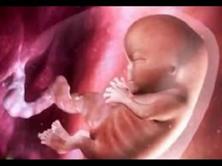 30 weeks Pregnant -fetal development
