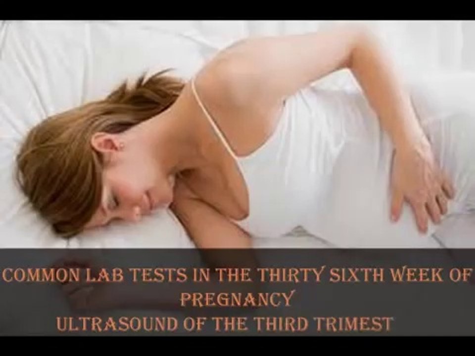 36 Weeks pregnant - fetal development