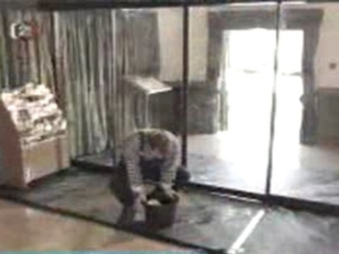 Limpador de vidros português