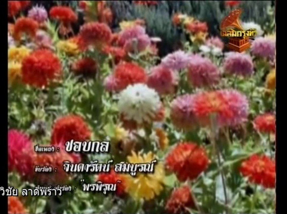 ชอบกล   /  จินดารัตน์  สมบูรณ์