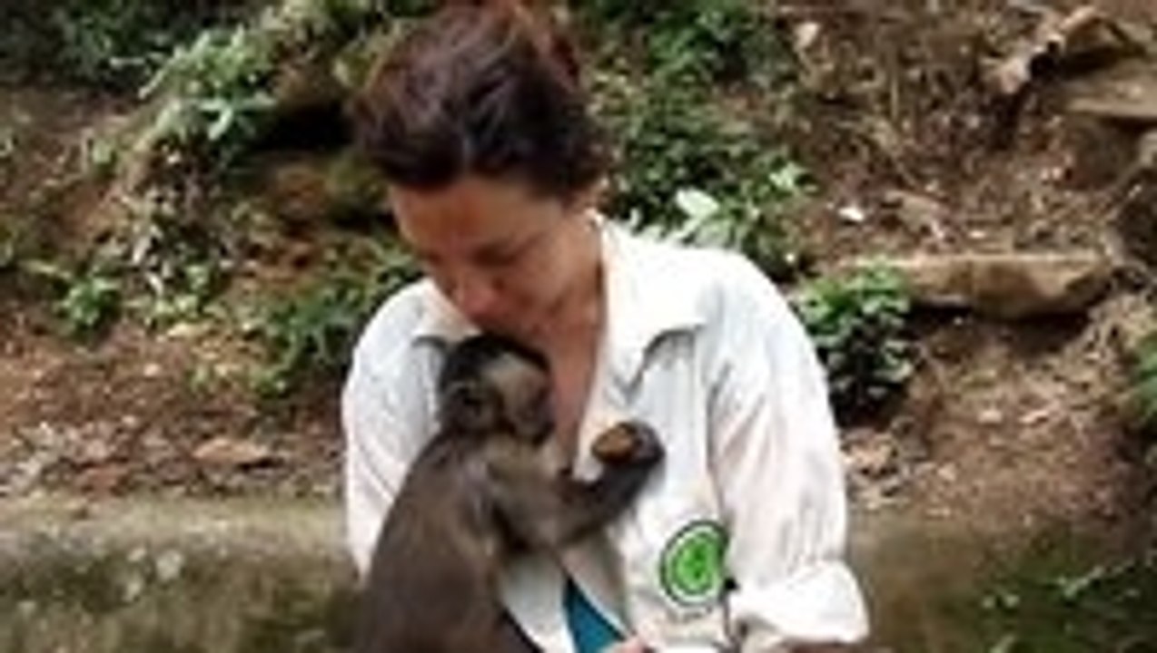 Cute monkey shares his food with a girl