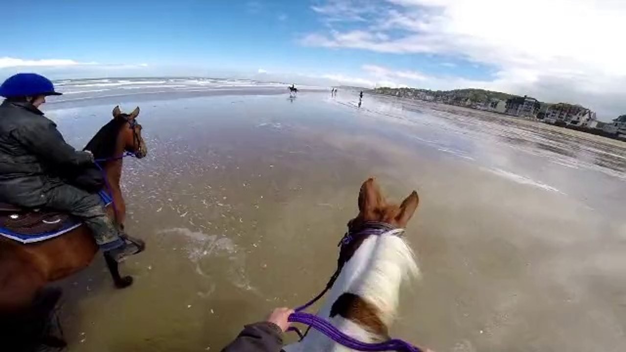 Spirits first time on the beach!! Deuville 11 may 2014