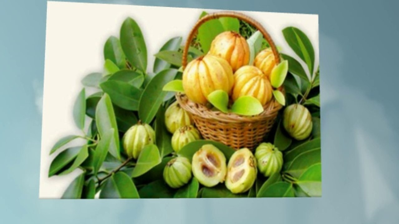 Garcinia_Cambogia