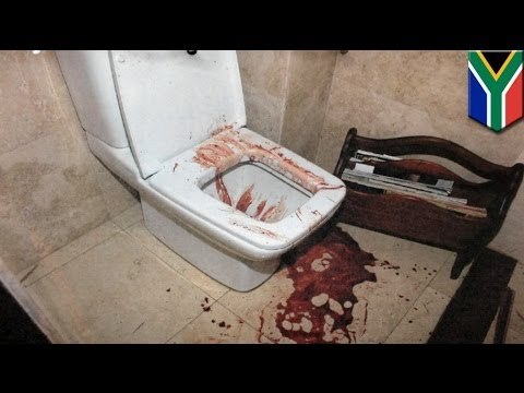 Oscar Pistorius trial: New evidence from ballistics expert challenges prosecution