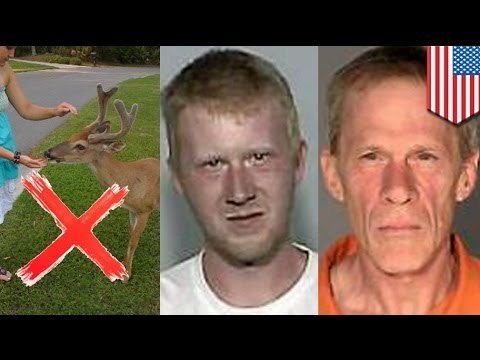 Minneapolis man, Neil Zumberge, kills neighbor after fight over feeding wild deer