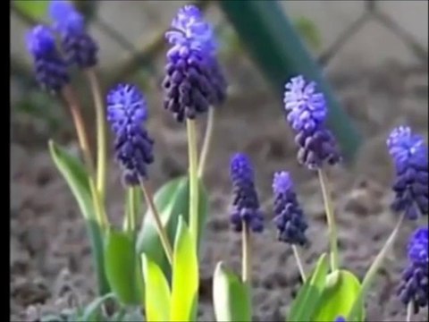 Karanlık Geceler - Dursun Ali Erzincanlı