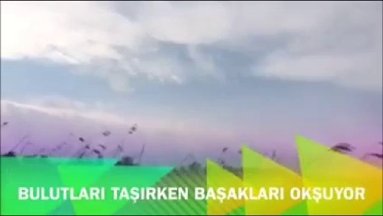 Danimarka'dan Görüntüler...