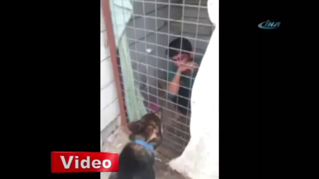 guvercin-hirsizine-unutulmaz-ders