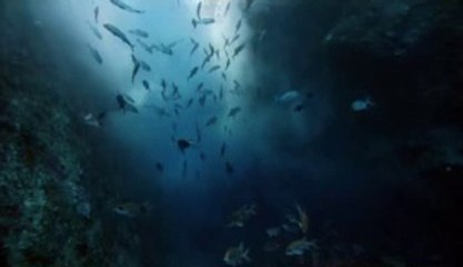 孔袈abam3.net 상봉휴게텔『아찔한밤』광주휴게텔,일산휴게텔,암사휴게텔 가격