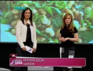 Baklagiller- Diyetisyen Melis Torluoğlu