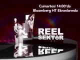 Reel Sektör Programı