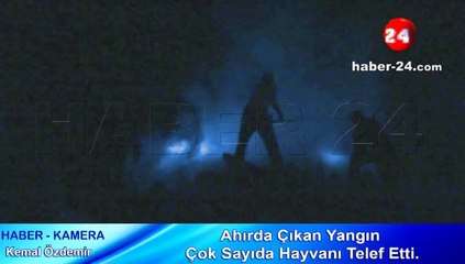 Ahırda Çıkan Yangın Çok Sayıda Hayvanı Telef Etti