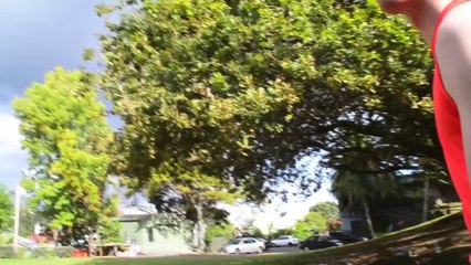 Grafton Giants Volleyball 2013