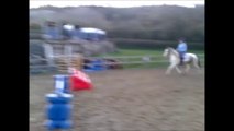 Bessie - Irish cob x Welsh mare, Rising 6, 14.1hh, leisure/competition/breeding