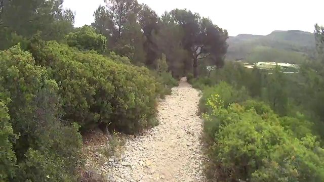 Cuges les pins GR98 50 km 14