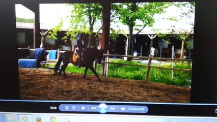 TENDERO P.R.E au galop