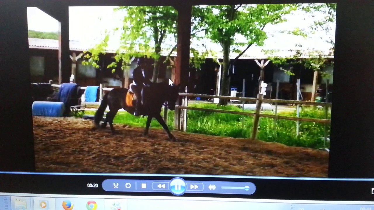 TENDERO P.R.E au galop