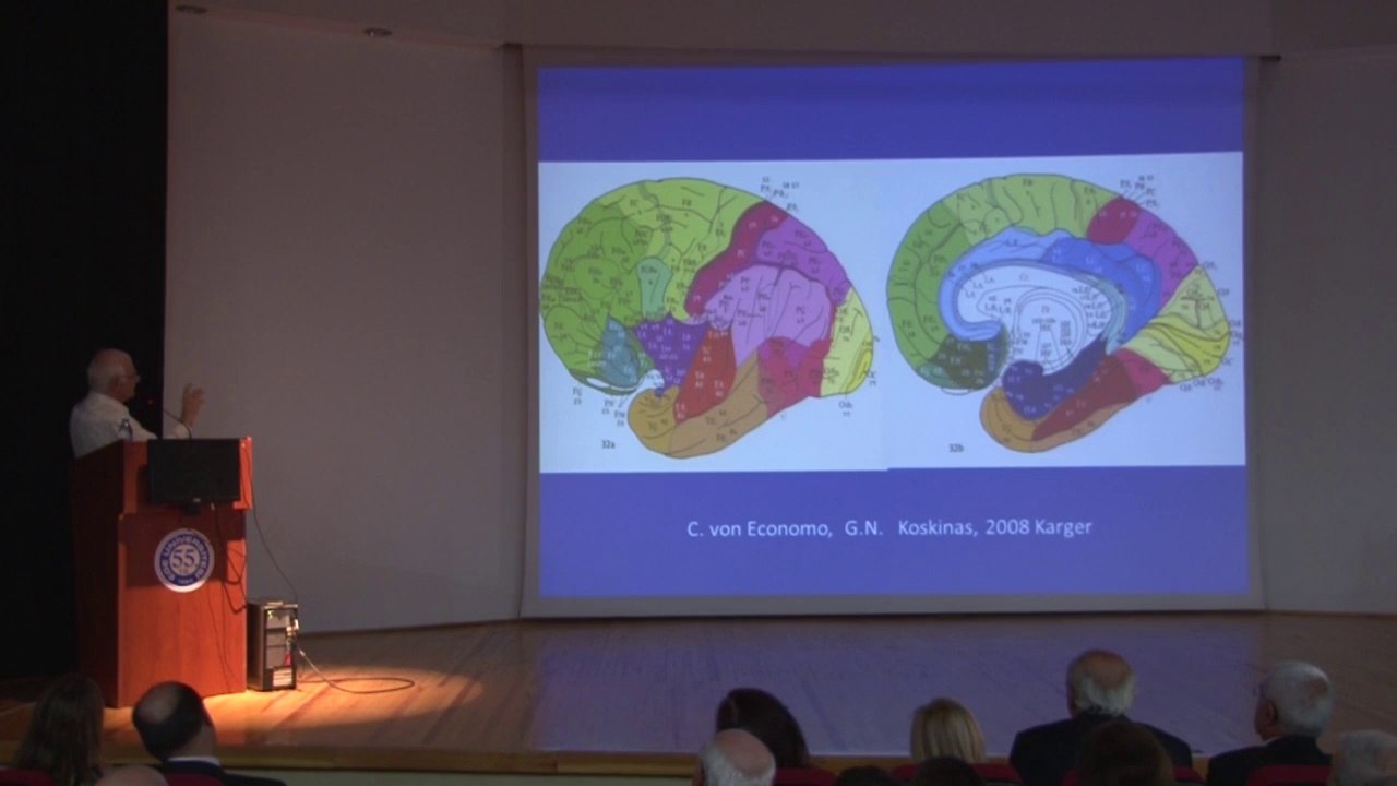 Prof.Dr.Gazi Yasargil Bolum-2 Ege Universitesi Nörobilimde Etkileşim Semineri 08.05.2014