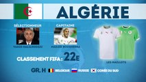 Coupe du Monde 2014 : focus sur l'Algérie !