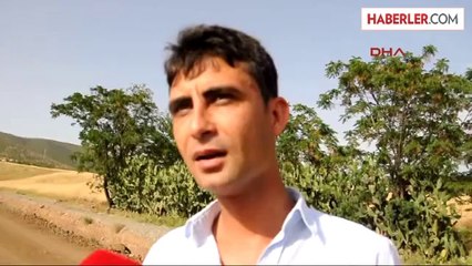 Kuraklık, Osmaniye'de Buğdayın Verimini 3 Kat Düşürdü