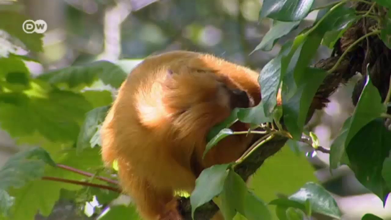 Jersey - Insel im Ärmelkanal | Euromaxx