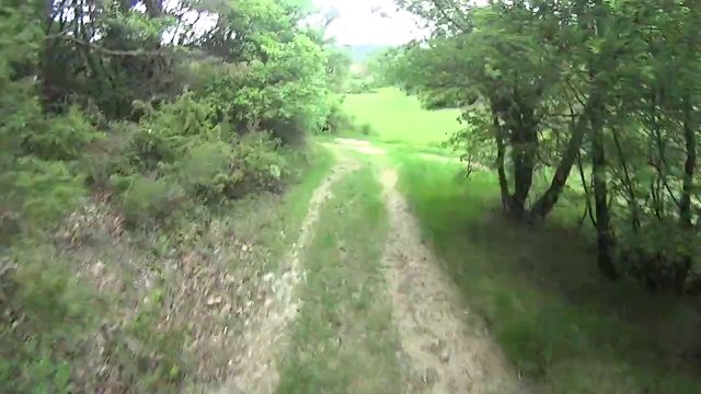 Cuges les pins GR98 50 km 03