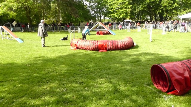 Concours de Villeneuve d'Ascq 8 mai 2014 GPF Chelsea