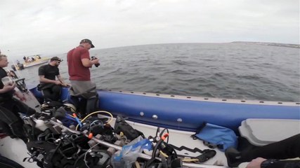 On ne taquine pas un requin dans un bateau gonflable